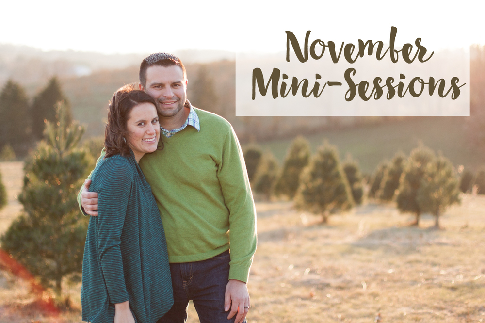 November Mini Portrait Sessions - Winchester Area