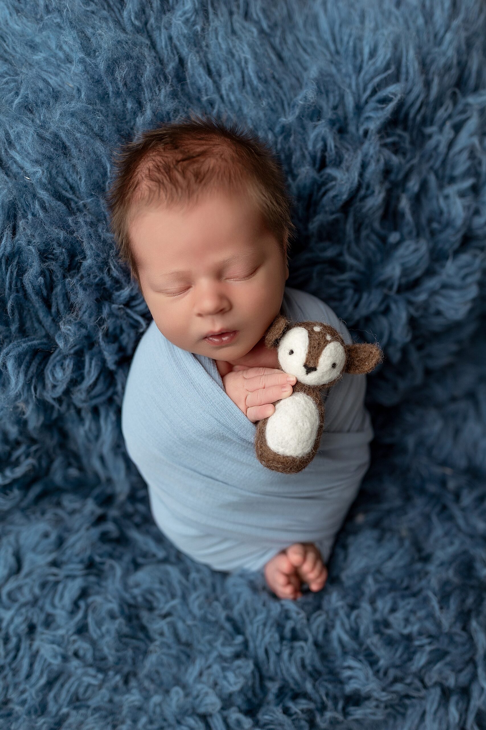 Newborn boy on blue holding a tiny deer Winchester VA