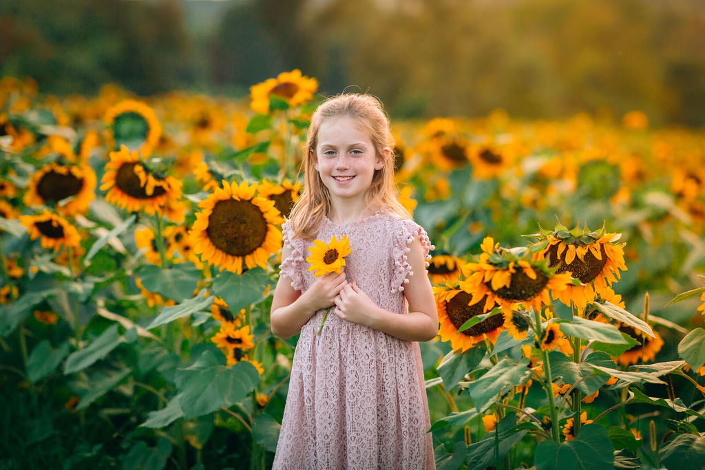 A young girl in a pink lace dress stands holding a sunflower to her chest in a field of sunflowers