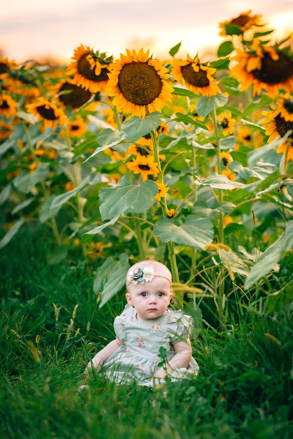 A young toddler girl in a blue dress and headband sits in the grass on the edge of a sunflower field at a staunton va pumpkin patch